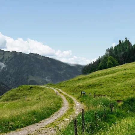Haus Ganbei Donnersbachwald